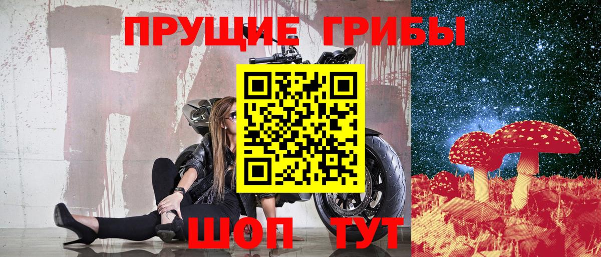 Псилоцибиновые грибы прущие грибы  Вход с VPN  наркота  Новочеркасск 